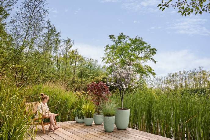 sereh haut 40cm vert scandinave